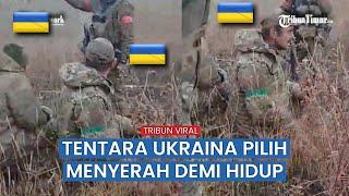 Pasukan Rusia Tangkap Sekelompok Tentara Ukraina, VIRAL!!