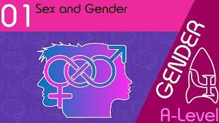 Sex and Gender - Gender [AQA ALevel Psychology]