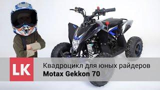 Квадроцикл для юных райдеров Motax Gekkon 70