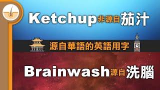 源自華語的日常英語用字！(繁體中文字幕)