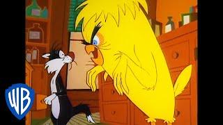 Looney Tunes | Monster Tweety  | Classic Cartoon | WB Kids