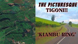 "Tigoni's Hidden Secrets: Beyond the Picturesque Surface of the"KIAMBU RING!!