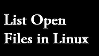 How to use the Linux lsof command to list open files