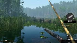 Lets Talk About The Fishing Games And My Experience  The Last 9 Years