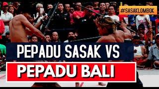 PEPADU SASAK VS BALI Presean Sasak Lombok Terbaru 2022 I   #sasaklombok