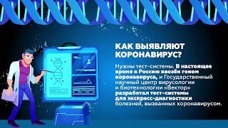 Что такое коронавирус?