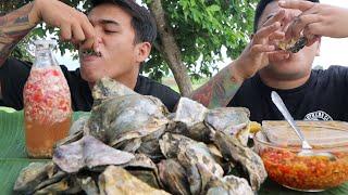 FRESH TALABA + UNI SEA URCHIN MUKBANG | FRESH OYSTER MUKBANG (HD)