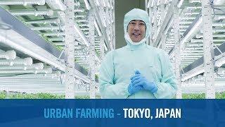 Shaping Smarter Cities: Tokyo, Japan | Empowering Innovation Together with Grant Imahara