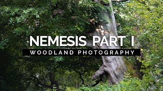 Photography Struggles Part I • My Nemesis • Clumber Park