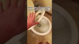 When you drop the toilet seat #funny #viral