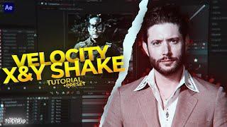 Velocity + X&Y shake tutorial on After Effects (+Preset)