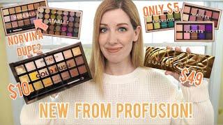 NEW PROFUSION PALETTES...WORTH IT OR SAVE YOUR MONEY?