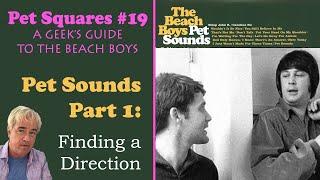 PET SQUARES #19 - Pet Sounds Part 1: Finding a Direction