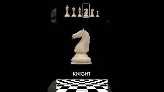 Names of Chess Pieces