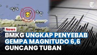 SEMPAT BUAT PANIK, BMKG Ungkap Penyebab Gempa Magnitudo 6,6 Guncang Tuban Jawa Timur