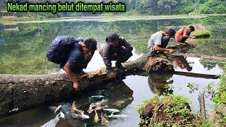 Mancing Belut di Telaga Air Jernih yang Banyak Ikannya | Eel Fishing