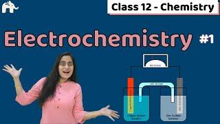 Electrochemistry Class 12 One Shot | CBSE NEET JEE | Chapter 3