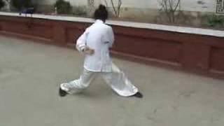 Wudang Taiyi Qigong (武当太乙气功) - Master Yuan Xiu Gang (袁修刚)