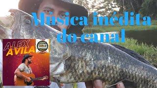 música inédita do canal pescadores de arroio, Trazendo o melhor desta terra