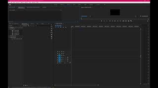 Adobe Premier Pro Reset Workspace