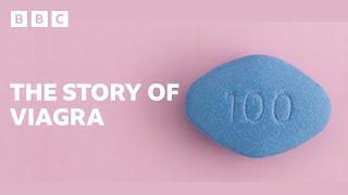 The curious tale of how Viagra was discovered | Men Up | BBC Ideas - BBC