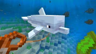 How to Tame a Dolphin in Minecraft?