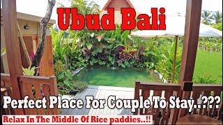 Is It A Perfect Place To Stay For Couple..?? Relax In The Middle Of Rice Paddies..! The Kalyana Ubud