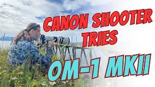 OM System OM-1 MKII for Wildlife Photography - Surprising Results!