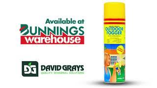 DAVID GRAYS Outdoor Fogger Mosquito Protection