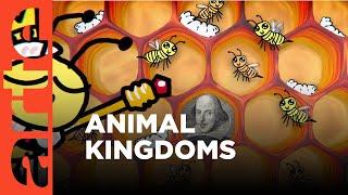 Do Animals Have Better Societies? | ARTE.tv Documentary