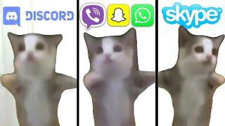 Happy Happy Cat but Social Media ringtones