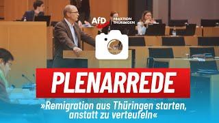 Stefan Möller I Remigration aus Thüringen starten, anstatt zu verteufeln - Aktuelle Stunde der AfD