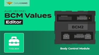 BCM Values Editor (Audi BCM2) Read + Edit VIN/CS/MAC/PC/KEYS | Immo Bypass Toolbox | CarLabImmo