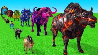 Paint Animals Cow Cartoon,Buffalo,Bull,yak,Ox, Bison Fountain Crossing Animal Transformation Game