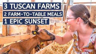 FARM TO TABLE: ITALIAN FOOD IN TUSCANY // Epic foodie adventure: Goat Cheese, honey, Olive oil