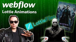 How to Use Lottie Animations in Webflow!