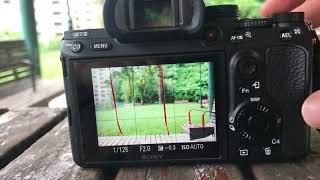 How to focus magnifier Sony A7iii