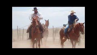 True Story Western Movie Online | Wild West Action Films Cowboy HD