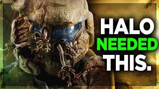We NEED To Talk About Halo Infinite Season 5 AND THE FLOOD...