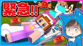 緊急事態️怪我したぴのを手術します【マイクラ/まいくら】