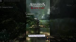 Ассасин Крид Или Акустический Обман #shorts #ajieksey24 #assassinscreed  #черныйфлаг #ac4