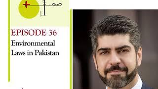 Environmental Laws In Pakistan | Adal Aur Sehat Project | Rafay Alam| Legal Podcast