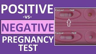 Pregnancy Test: Positive vs Negative Results Time Lapse