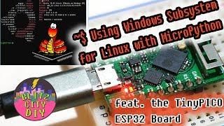 ~$ Use Windows Subsystem for Linux With MicroPython # feat. the TinyPICO