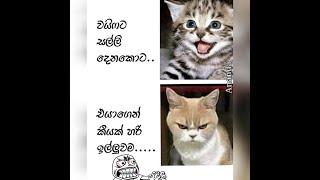 Fb funny post | Sinhala joke post 14 / Nittawa