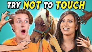 Try Not To Touch Challenge (ft. a Mini Horse!)