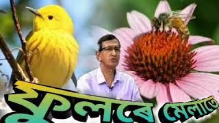 Phoole Melate (ফুলৰে মেলাতে ) - by Pulok Benarji.