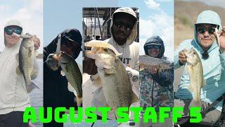 These Are Our 5 Go To Japanese Baits To Catch Fish When The Bite Gets Hard! August Staff 5