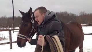 Хомут из рук мастера/Шорный двор Медведева