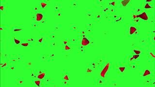 rose petals free green screen effect